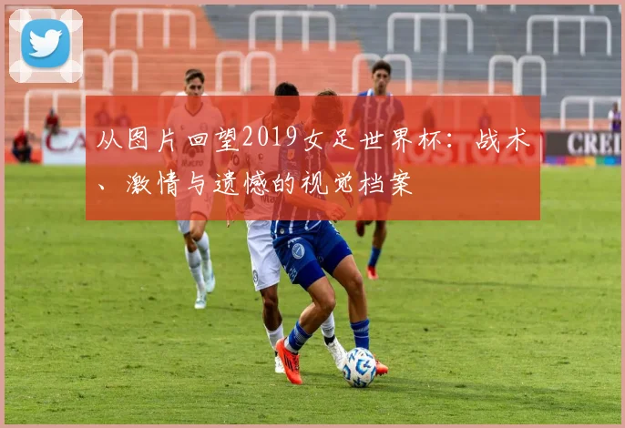 从图片回望2019女足世界杯：战术、激情与遗憾的视觉档案