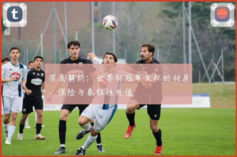 深度解析：世界杯冠军奖杯的材质、保险与象征性价值