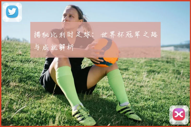 揭秘比利时足球：世界杯冠军之路与成就解析